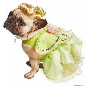 Tinkerbell Dog  costume like new with the wig